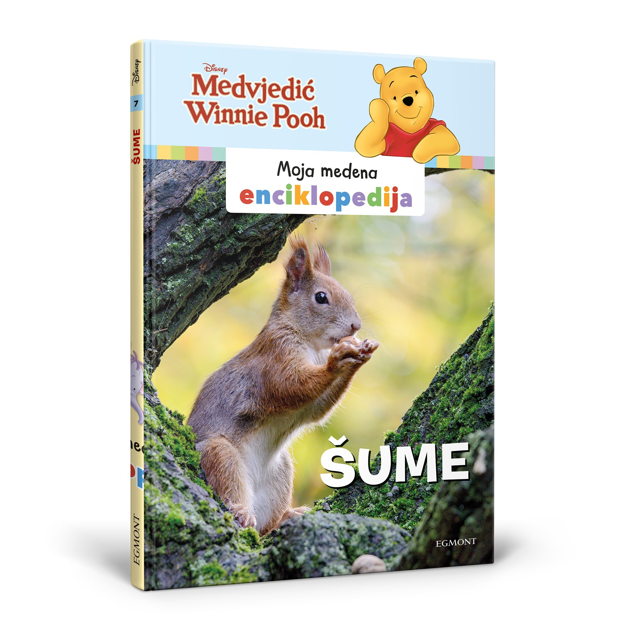 07_WTP enciklopedija_Sume_3D