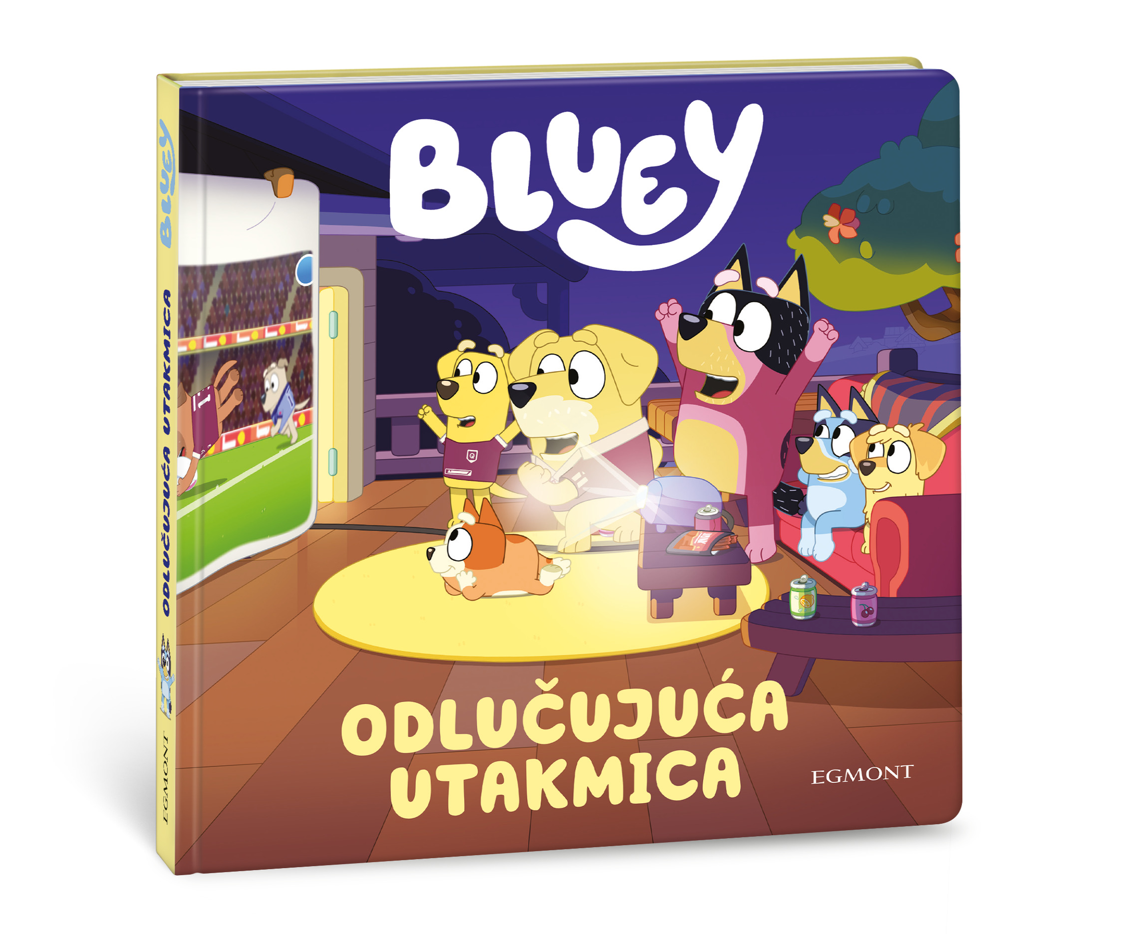 Bluey: Odlučujuća utakmica